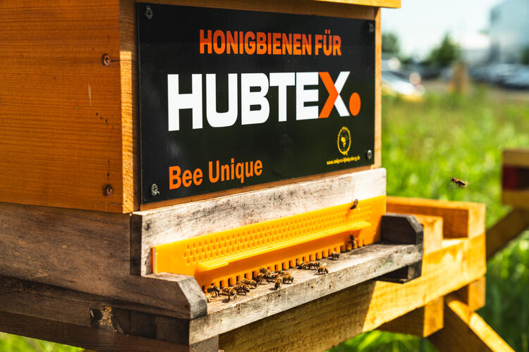 HUBTEX Bienenwiese