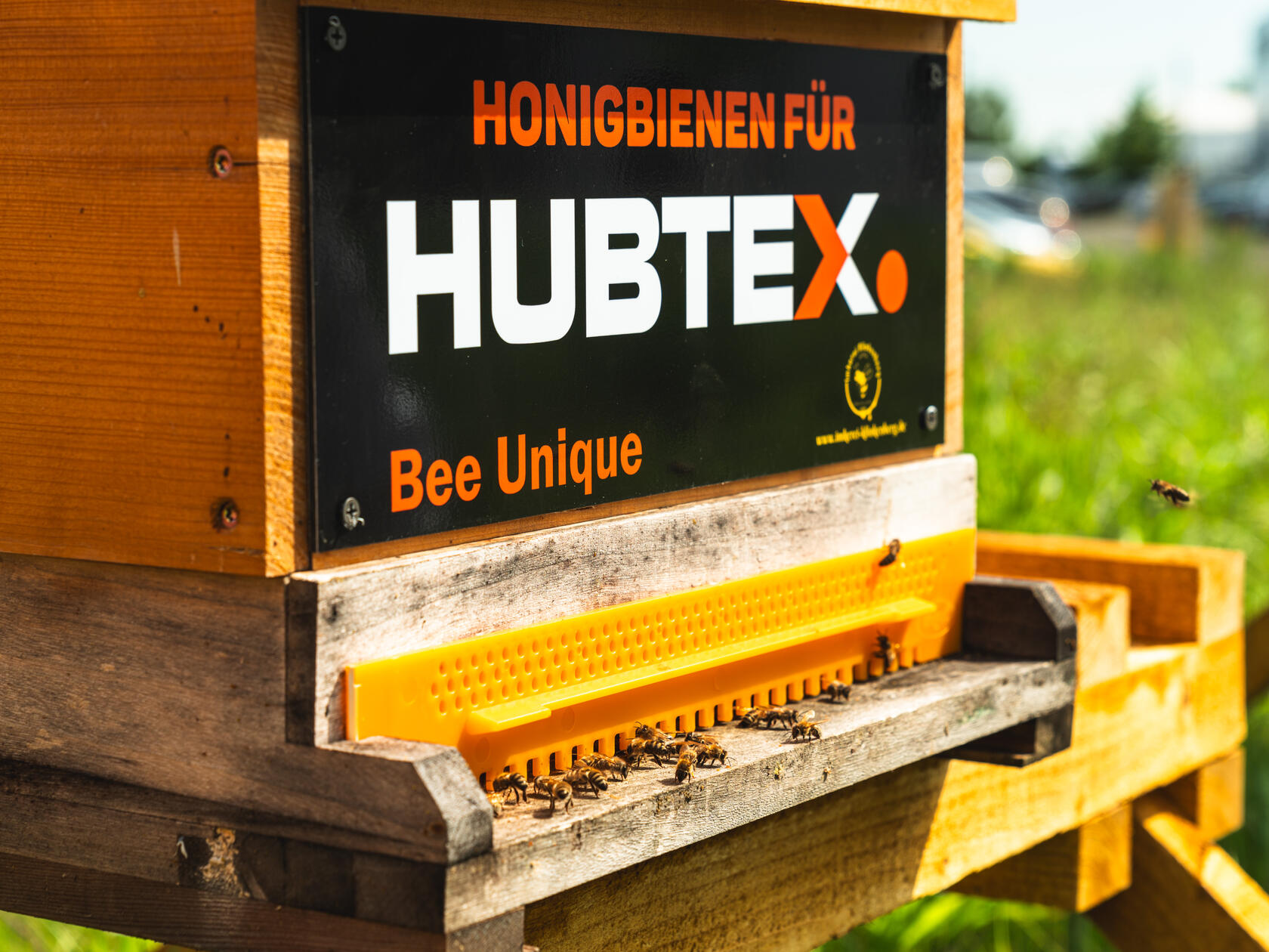 HUBTEX Bienenwiese